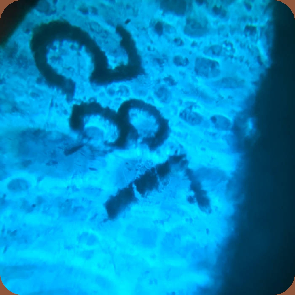 I'd Let You Drown Me If It Means We Drown Together